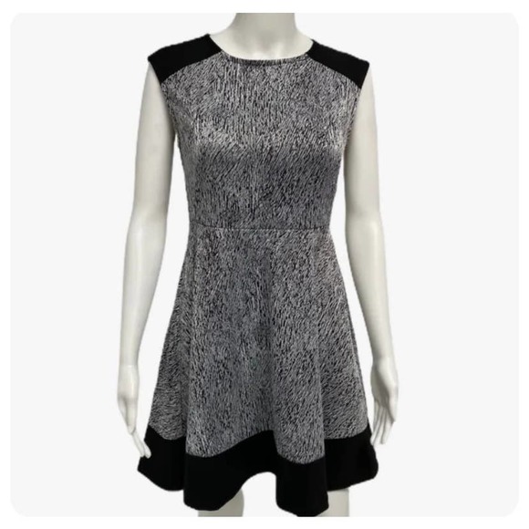 Black and White Color Block Sleeveless Dress- Size Large - Picture 1 of 4